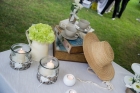Foto Gallery - Zenzero e Tulle